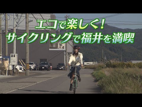 デコ活動画視聴