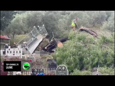 Top Channel/ Era e fortë rrëzon pemën në varrezat e qytetit të Vlorës, dëmtohen disa varre