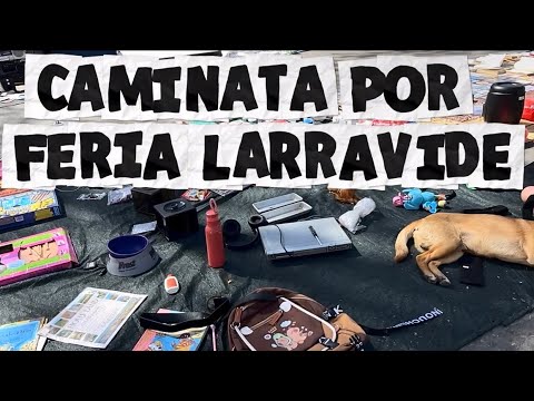 Caminata por feria Larravide