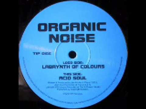 Organic Noise - Labyrinth of Colours