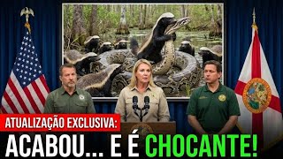 Todos riram de Florida por soltar CENTENAS de texugos-do-rio, o resultado pode CHOCAR