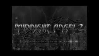 Midnight Angel : Tippmann Assassination