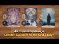 An Immediate Message With Detailed Guidance For The Next 7 Days WOW Timeless Tarot Readings