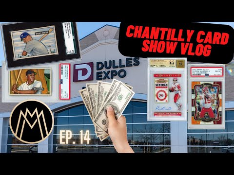 Massive Pickups and Tons of Deals at the Chantilly Card Show | Money Mitch #CardShow