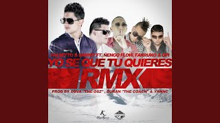Yo Se Que Tu Quieres (Remix) (feat. Ñengo Flow, Farruko &amp; Opi)