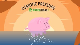 What is Osmotic Pressure |  Extraclass.com