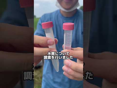 動物実習紹介