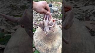 Download lagu I Cooked This Rare Bird in the Wild 🐦🔥 Can You Guess What It Is? 🤔 mp3 Download lagu I Cooked This Rare Bird in the Wild 🐦🔥 Can You Guess What It Is? 🤔 mp3