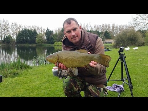 Episode 97 - Spring Time = Tench Time