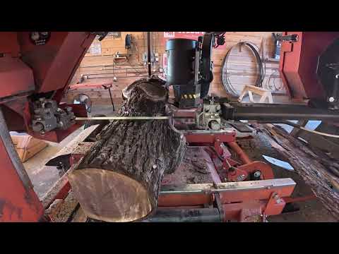 Sawing Walnut for a Unique Purpose