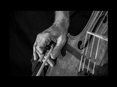 MENUET TROWELL Cello training