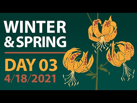 2021 Native Plant Garden Tour | Winter & Spring Part 2