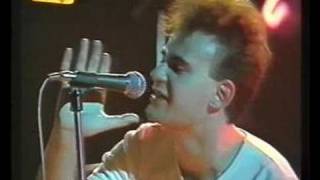 Siniestro Total - Purdey