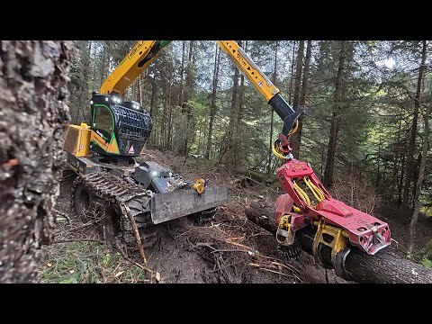 🌲 another Logging Day 🌲MS 462 - MS 500i [ forest peg + gasparro forstservice ] [ 2:# ]