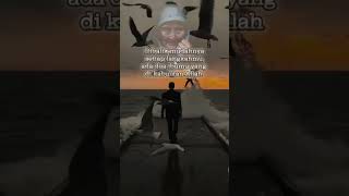Download lagu video story wa tentang ibu #katakatabijak #katainspirasi #story #storywa #download #ibu #doaibu mp3