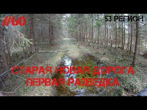 Поисковые прогулки с МД #60 - Старая новая дорога Первая разведка