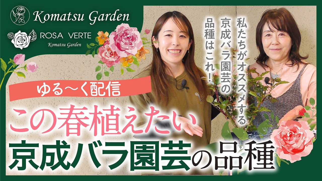 この春植えたい京成バラ園芸の品種