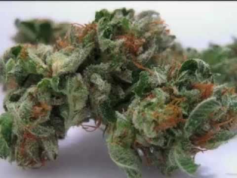 LB(Stay Keyed)  feat. Prophit - " Im So Hi "  (OFFICIAL VIDEO)