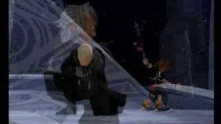 Organization XIII:  Longest Day
