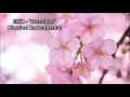 EXO - "PETER PAN" (Classical Instrumental ...