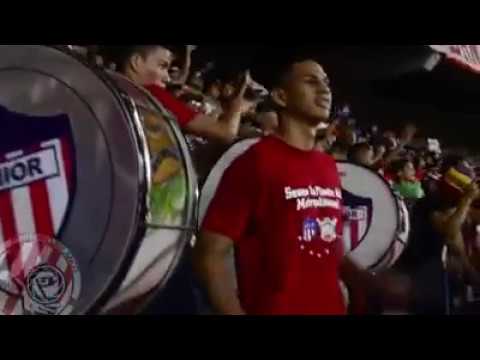 "Oh vamos Tiburón |Excentricos Rojiblancos| LBK" Barra: La Banda de Los Kuervos • Club: Junior de Barranquilla