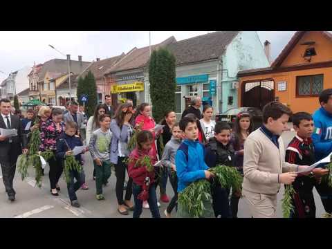 Sambata Floriilor, Saliste