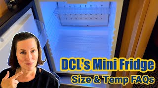 Is A Disney Cruise Ship Mini Fridge COLD ENOUGH For Things Like Medicine And Milk?