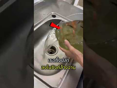 เธอเทปลาที่เลี้ยงไว้ทั้งหมดลงในซิงค์ล้างจาน