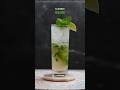 Classic Mojito ‍ Mojito Cocktails Bar Drinkrecipes