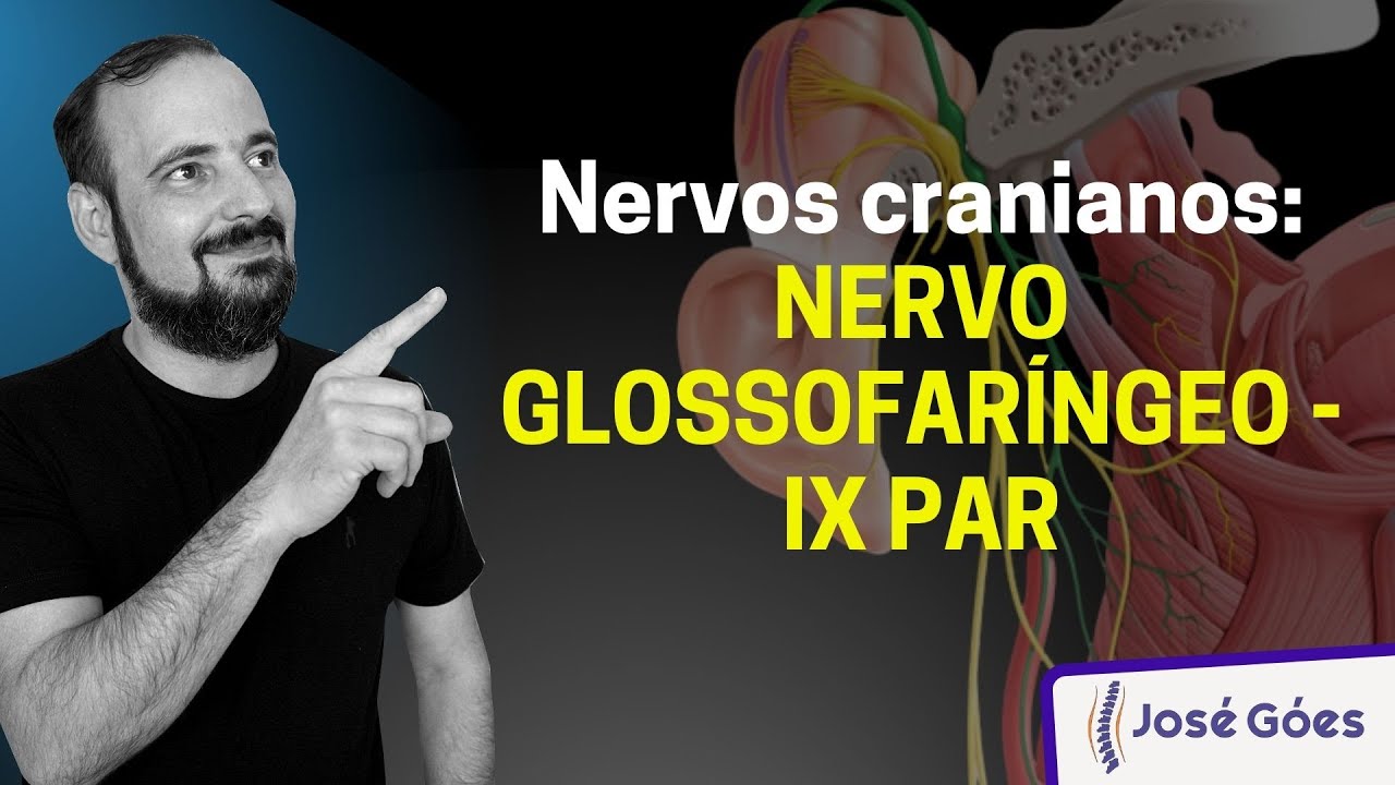 Nervos cranianos: NERVO GLOSSOFARÍNGEO - IX PAR | José Góes