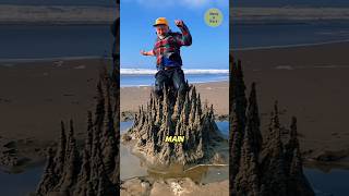 Download lagu The Fun of Playing in the Sand at the Beach 🌊 mp3