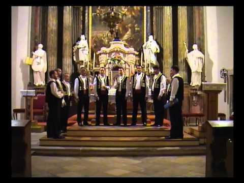 klapa dubrava - dalmacijo, sveto ime