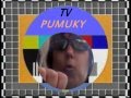 TV PUMUKY CARTA DE AJUSTE