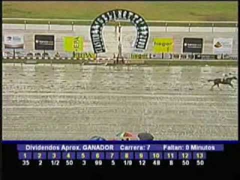 Resumen 1° de Noviembre  2009 - La Rinconada