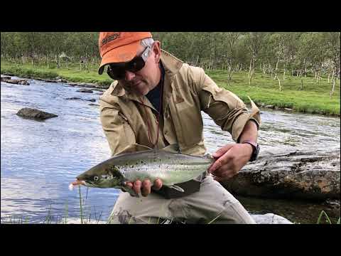 Salmon fishing Finnmark 2020