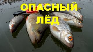 Отчет о рыбалке на угре 2020