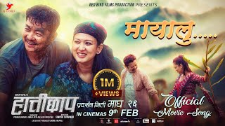 Download lagu Mayalu - HATTICHHAP Movie Song || Dayahang Rai, Upasana Singh Thakuri || Pratap Das, Mamta Gurung mp3