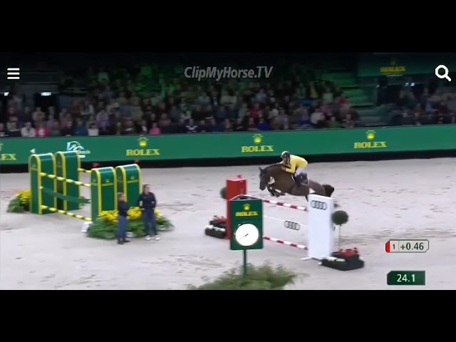 Half-brother of the mother is the CSI 1.55m jumping Stallion Fifty Fifty de Semilly with rider Yuri Mansur.