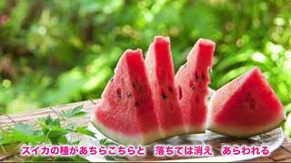 大人気スーパーシンガーソングライターEmi⭐︎ri「夏風」