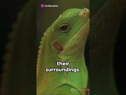 Chameleon Chronicles Masters of Disguise..