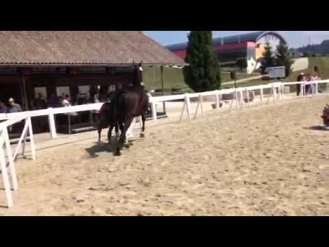 Dancing Queen v. Dancier