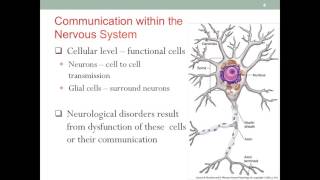 MNT Neurological Diseases Intro