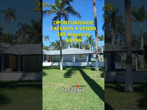 🌱 285 ALQ EM MIMOSO DE GOIÁS - FAZENDA À VENDA EM GOIÁS [🌱DUPLA APTIDÃO] #fazenda #tec2agro