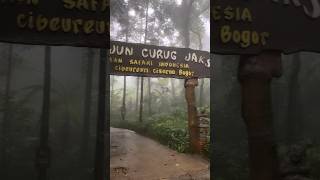 Download lagu Curug Jaksa Taman Safari Indonesia #travel #curugjaksa #curug #tamansafaribogor mp3