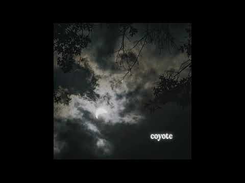 Lyyn - Coyote (Official Audio)