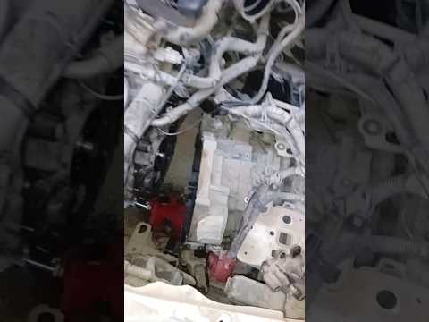 Toyota Camry Rear Main Seal Replacement Manual Transmission #shorts