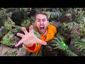 World S Scariest Zombie Simulation