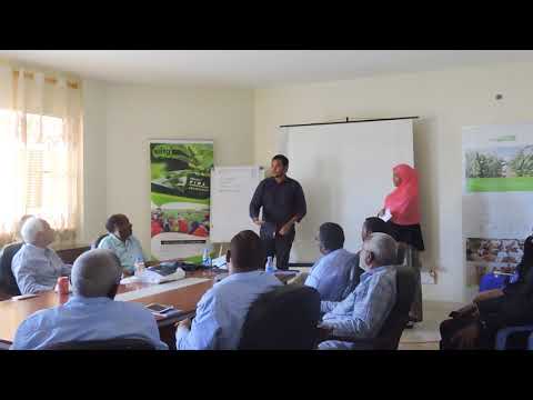 My Internship at the Somali Agriculture Technical Group