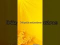 Hridayathin Madhupathram Shorts Cover Indrajithsukumaran Trending Music