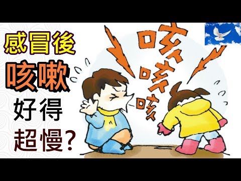 一直感冒不好